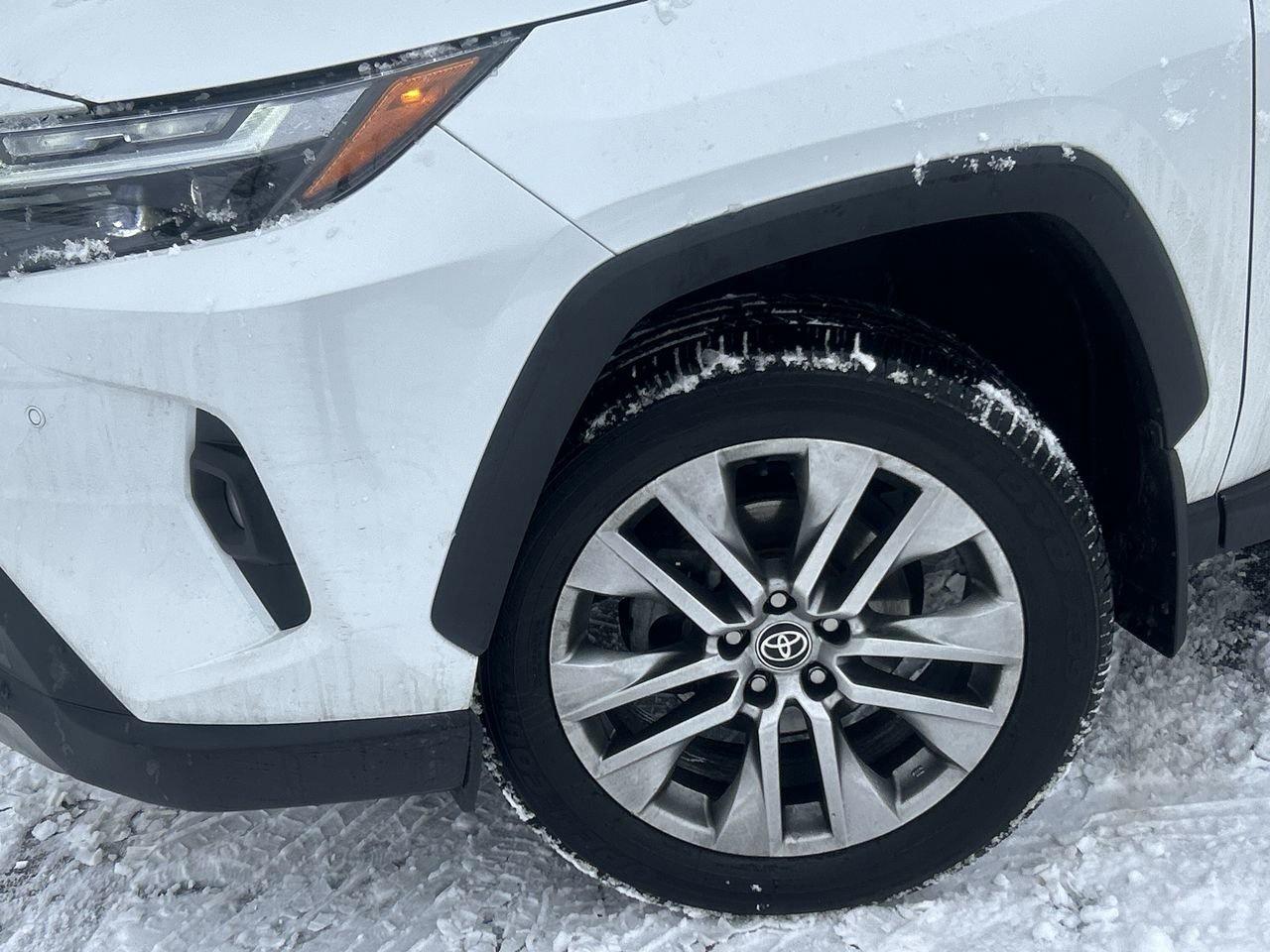 2023 Toyota RAV4 Limited   Style, Safety & Reliability CLEAN CARFAX Photo