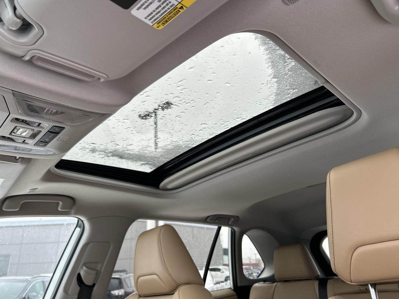 2023 Toyota RAV4 Limited   Style, Safety & Reliability CLEAN CARFAX Photo