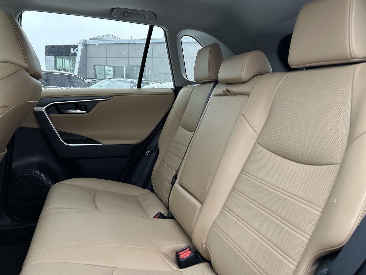 2023 Toyota RAV4 Limited   Style, Safety & Reliability CLEAN CARFAX Photo