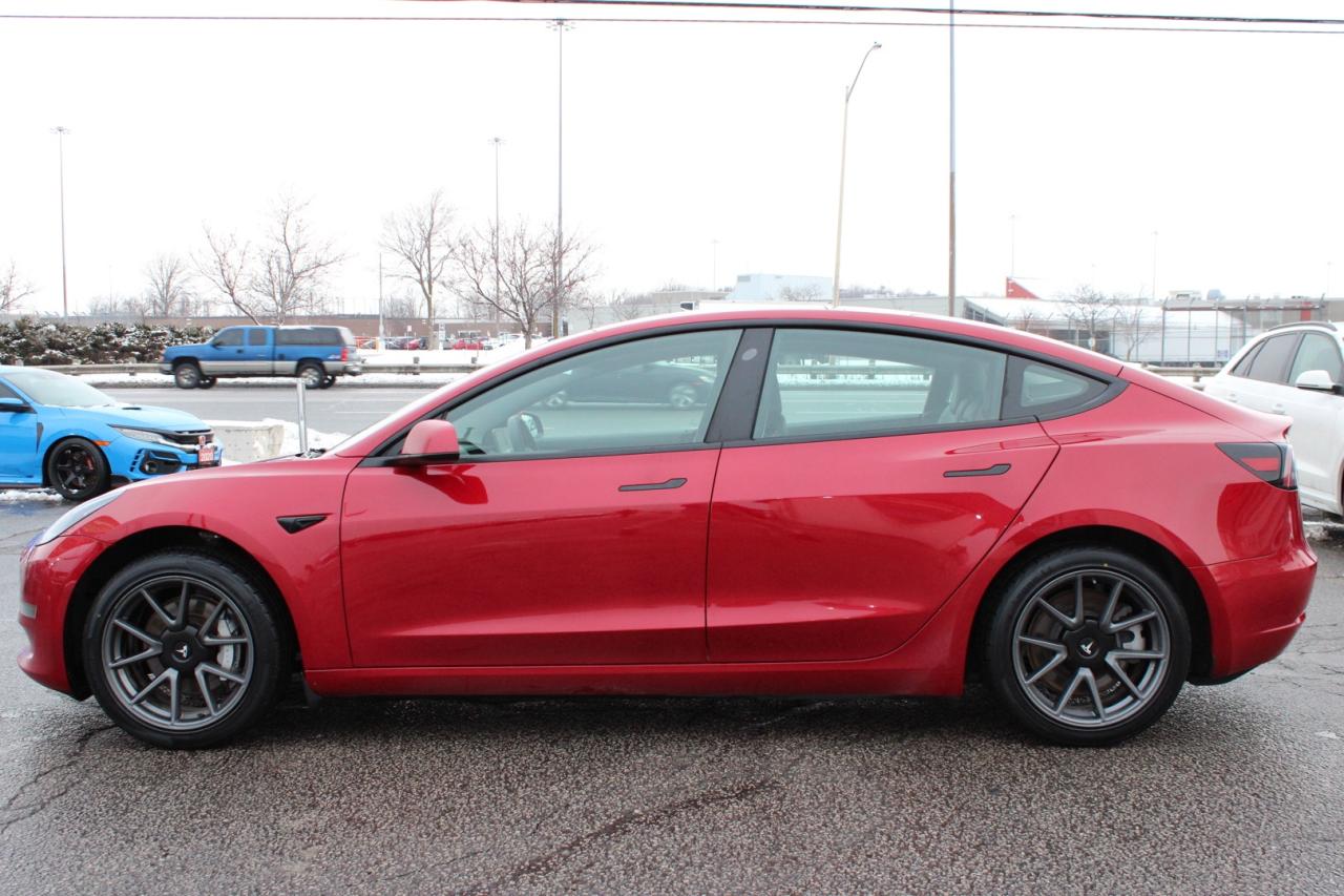 2023 Tesla Model 3 Standard Range Plus No Accident Clean Carfax Photo3