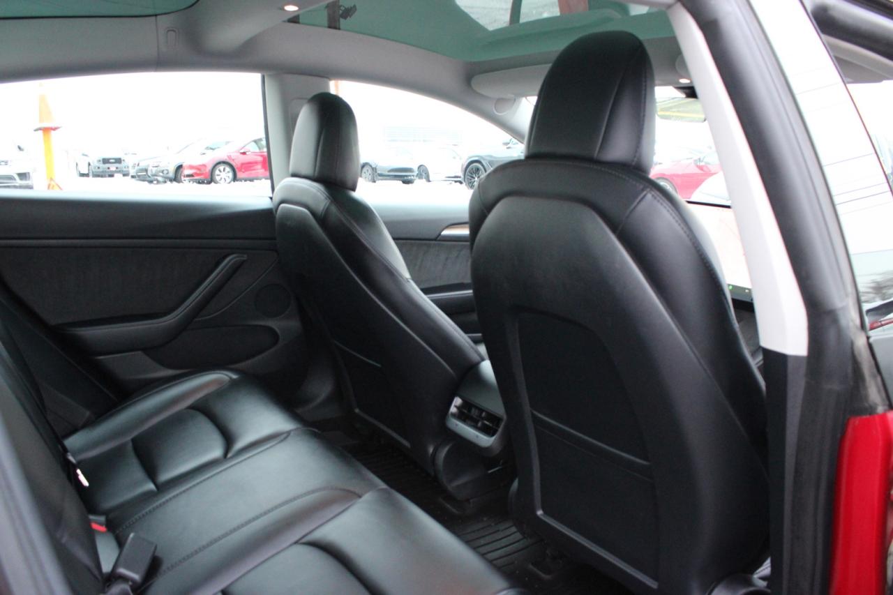 2023 Tesla Model 3 Standard Range Plus No Accident Clean Carfax Photo