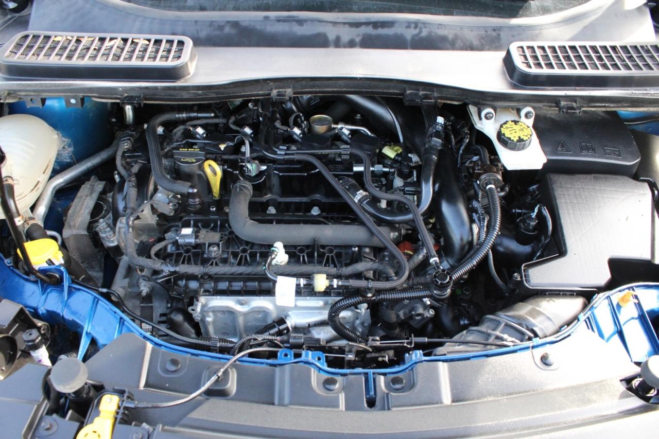 2019 Ford Escape SE 4WD   NO ACCIDENT   CLEAN CARFAX Photo