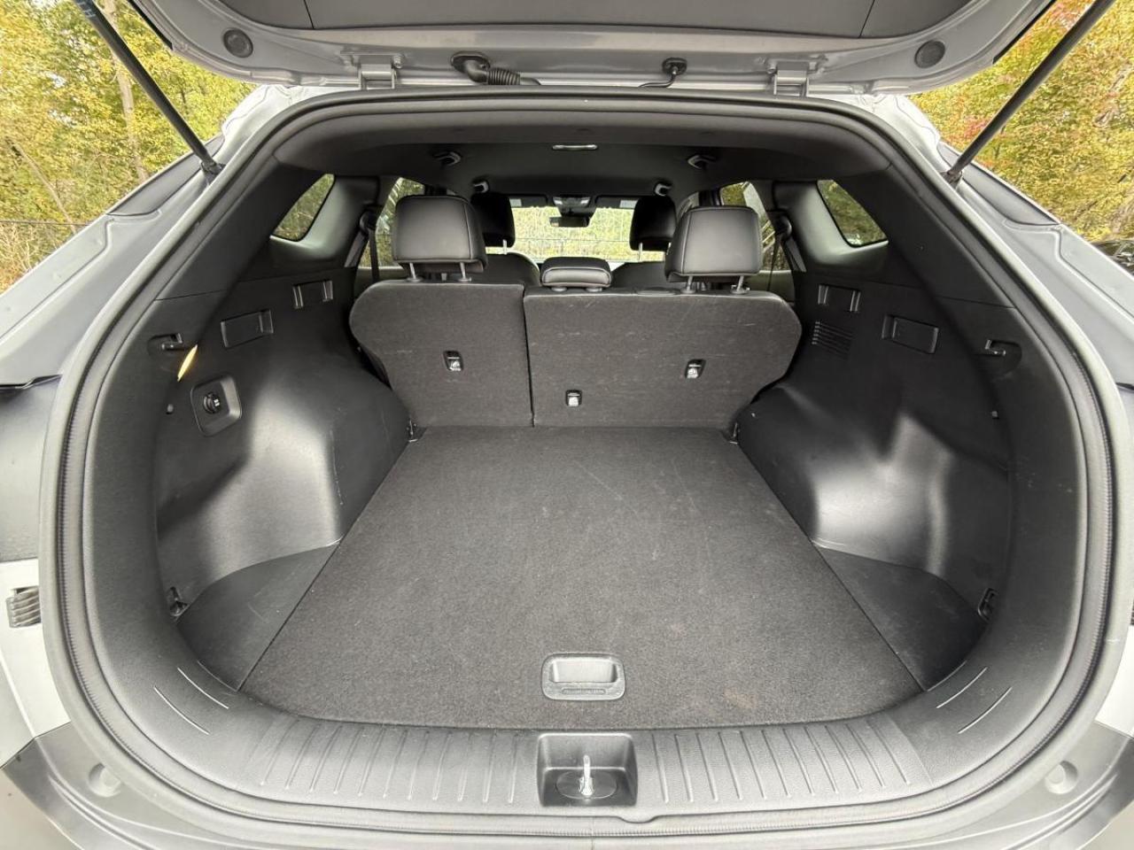 2024 Kia Sportage AWD Photo