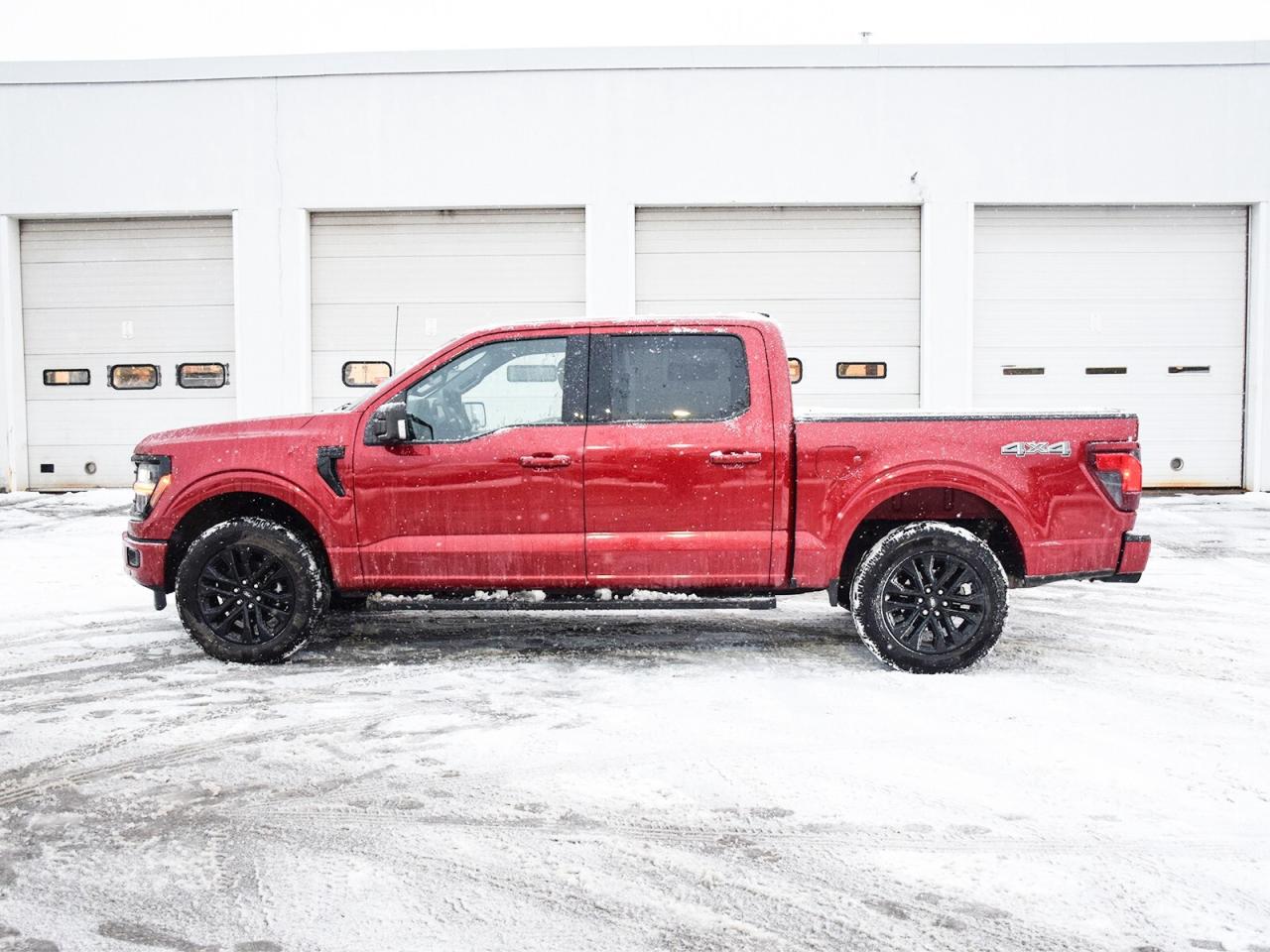 2025 Ford F-150 XLT 4WD SuperCrew 5.5' Box Photo