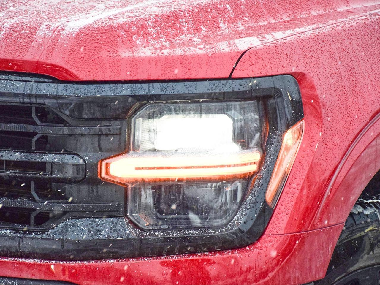 2025 Ford F-150 XLT 4WD SuperCrew 5.5' Box Photo