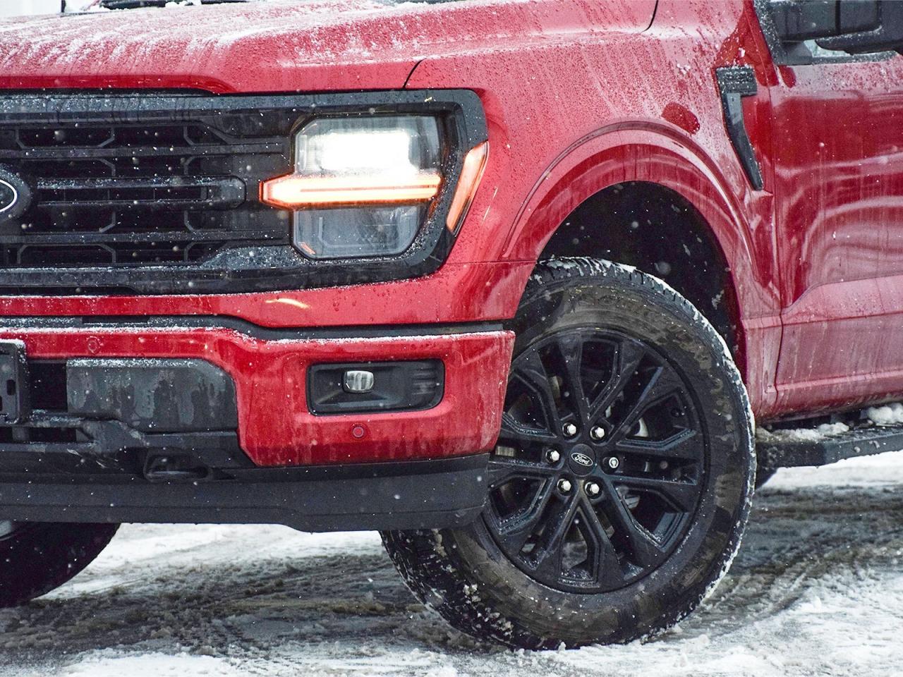 2025 Ford F-150 XLT 4WD SuperCrew 5.5' Box Photo