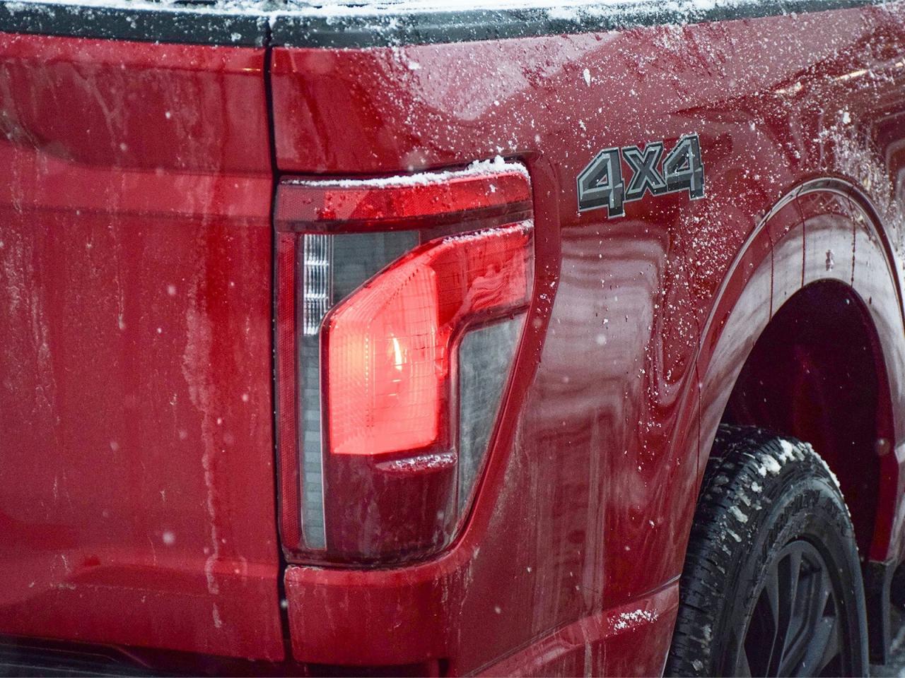 2025 Ford F-150 XLT 4WD SuperCrew 5.5' Box Photo