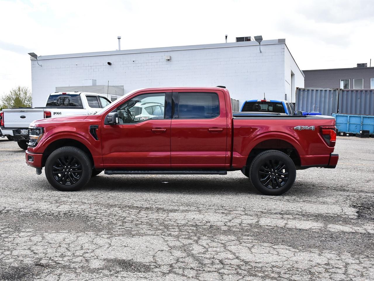 2025 Ford F-150 XLT 4WD SuperCrew 5.5' Box Photo4