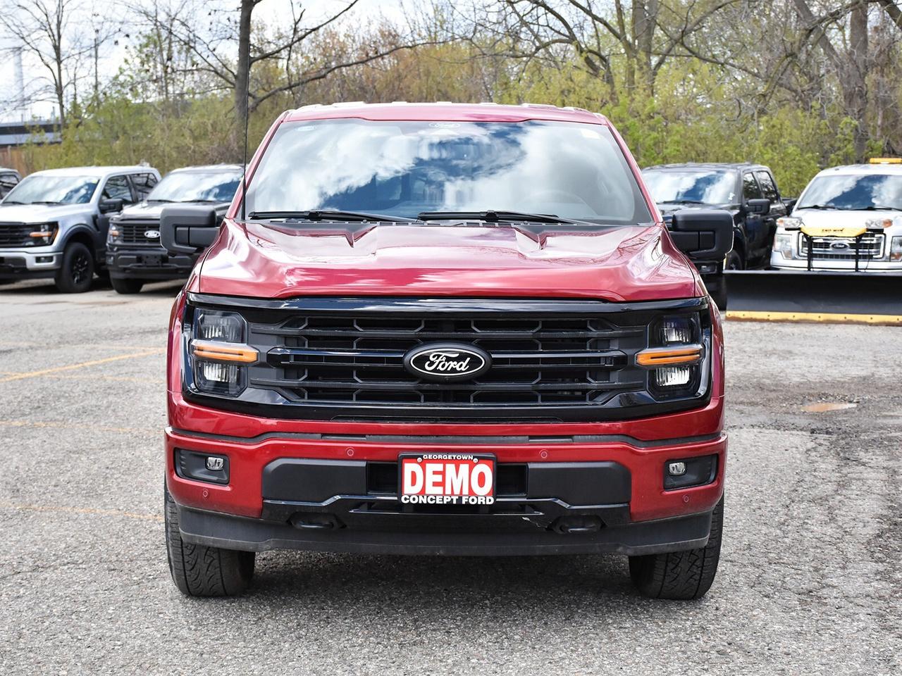 2025 Ford F-150 XLT 4WD SuperCrew 5.5' Box Photo3