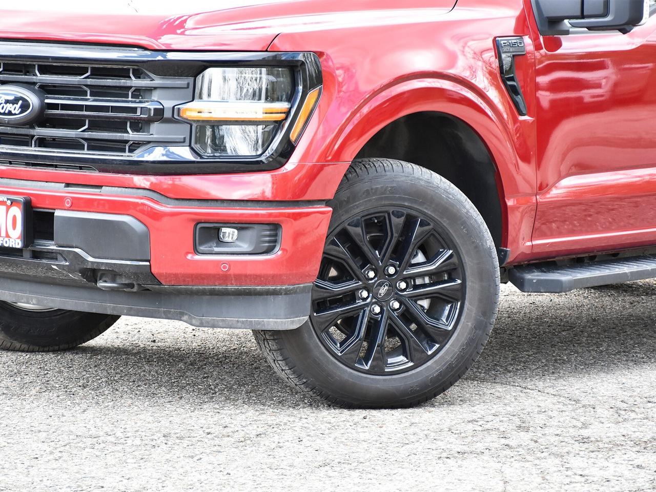 2025 Ford F-150 XLT 4WD SuperCrew 5.5' Box Photo