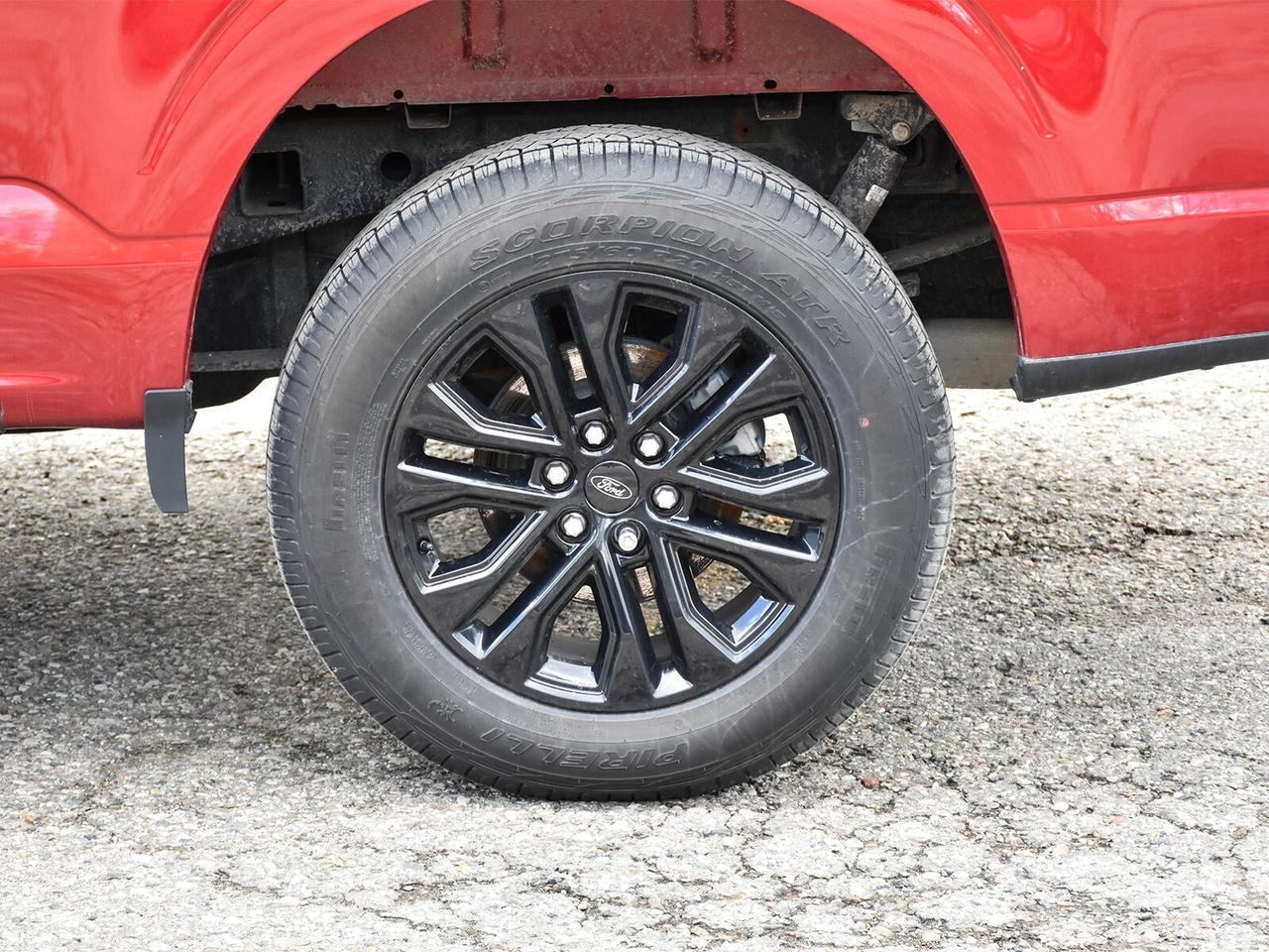 2025 Ford F-150 XLT 4WD SuperCrew 5.5' Box Photo
