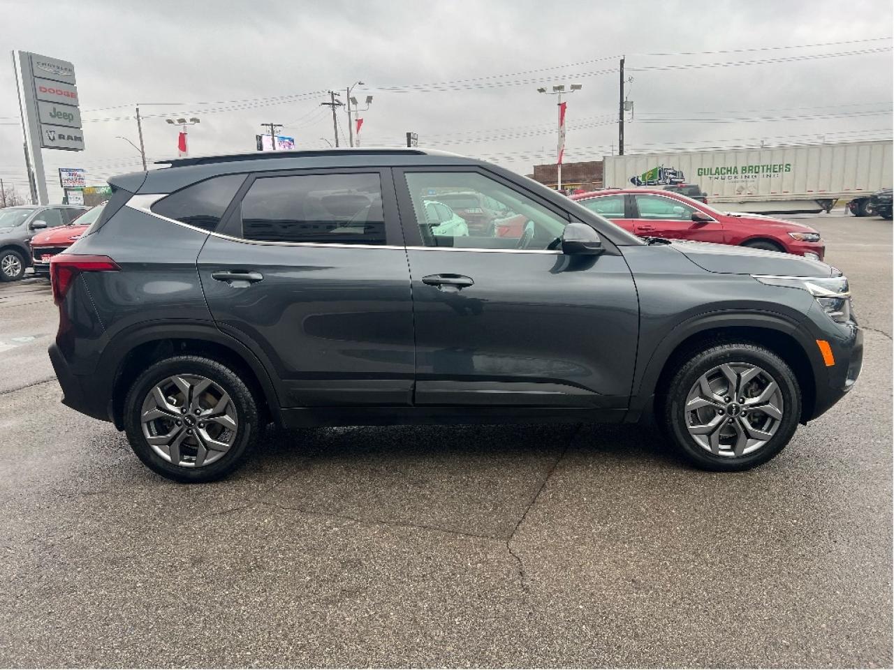 2024 Kia Seltos EX AWD *LEATHER *SUNROOF *CLEAN CARFAX Photo