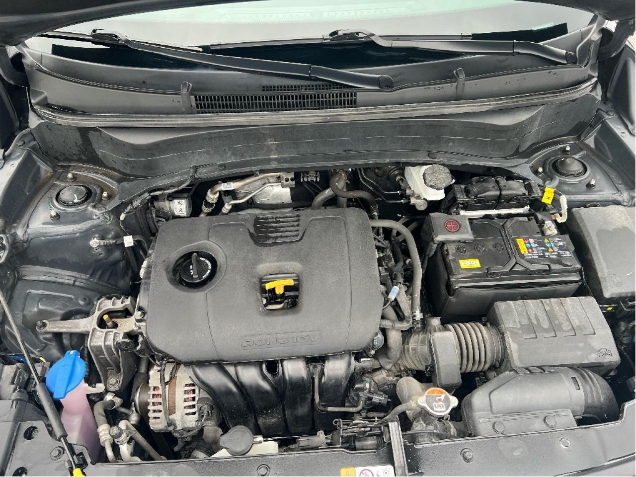 2024 Kia Seltos EX AWD *LEATHER *SUNROOF *CLEAN CARFAX Photo