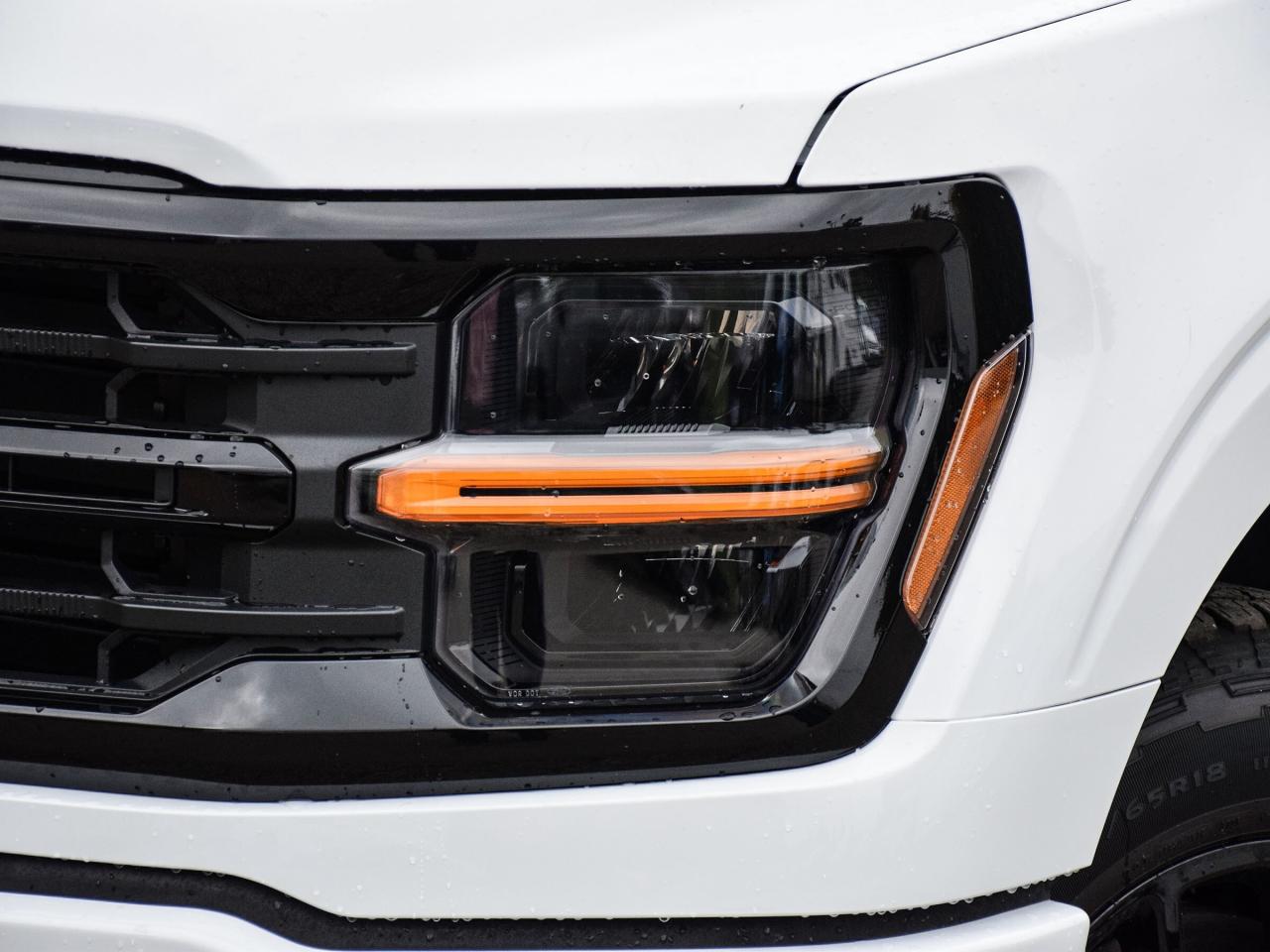 2025 Ford F-150 XLT 4WD SuperCrew 5.5' Box Photo