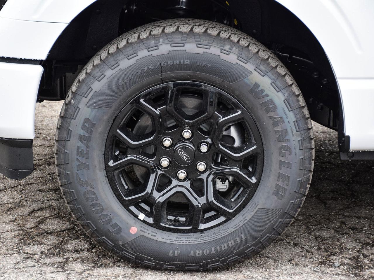 2025 Ford F-150 XLT 4WD SuperCrew 5.5' Box Photo3