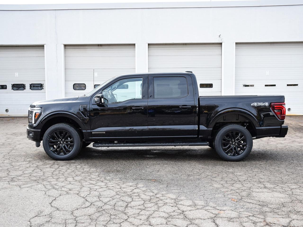 2025 Ford F-150  Photo