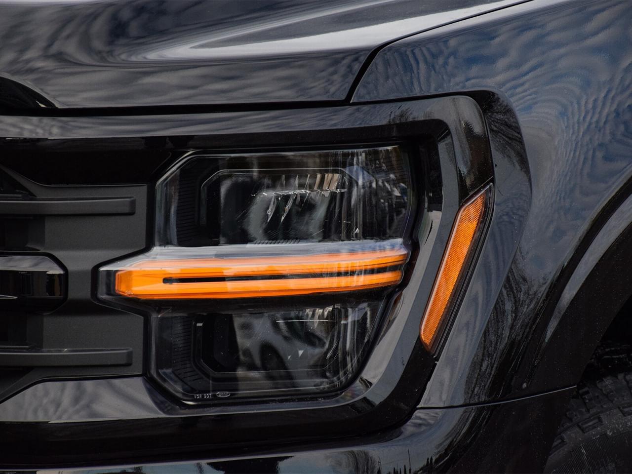 2025 Ford F-150  Photo2