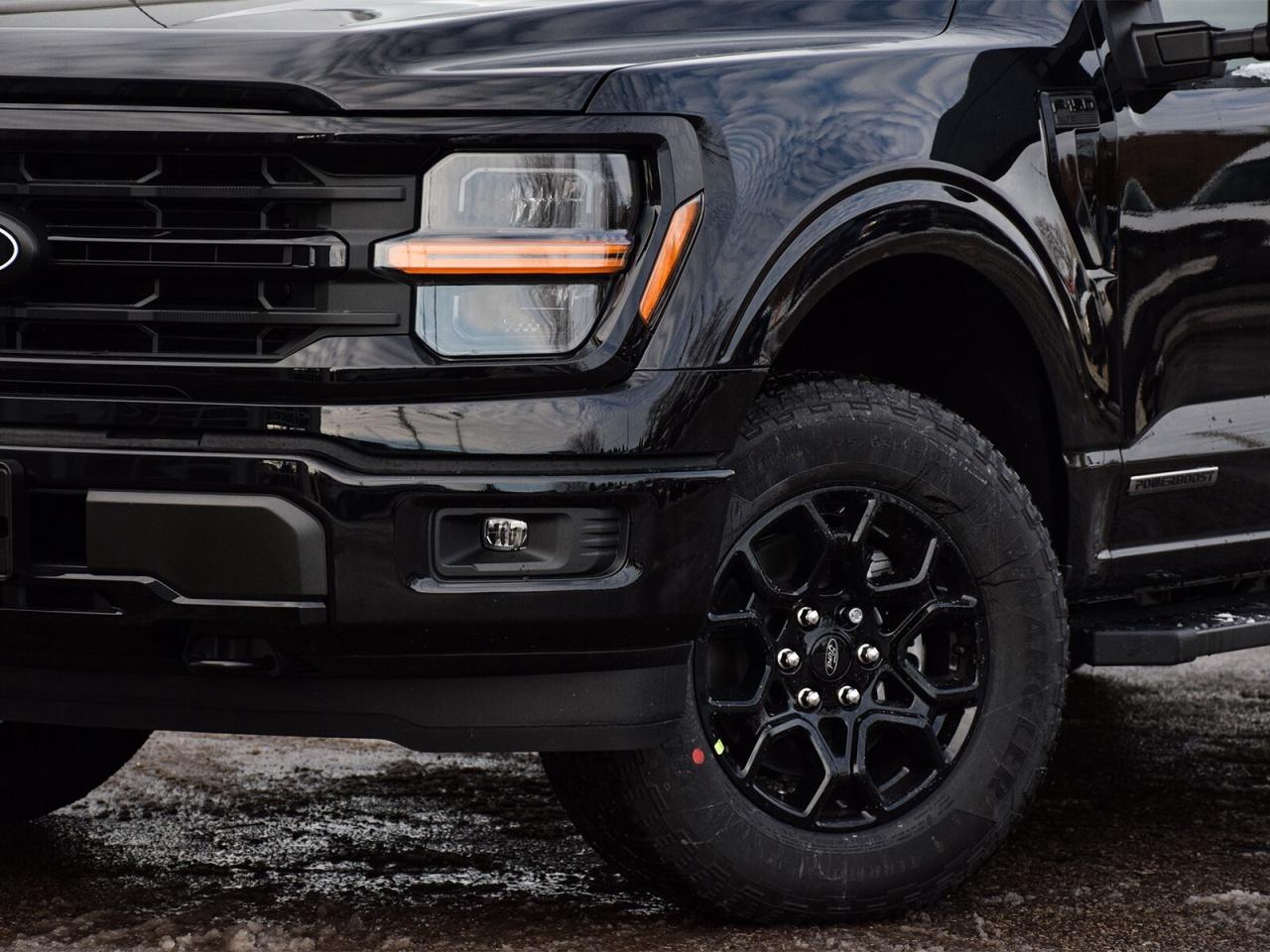 2025 Ford F-150  Photo