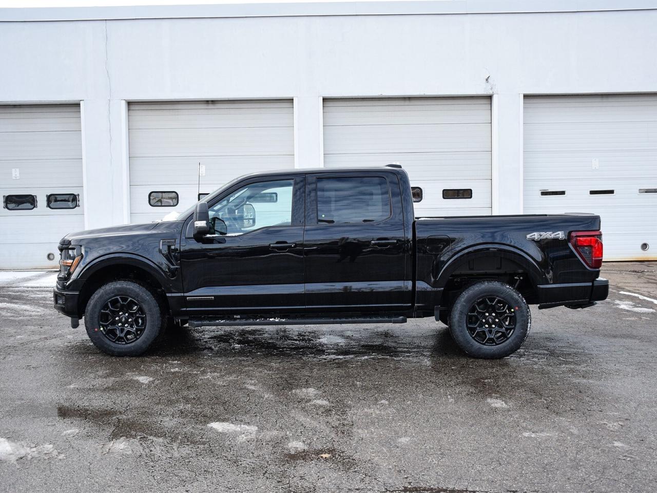 2025 Ford F-150  Photo4