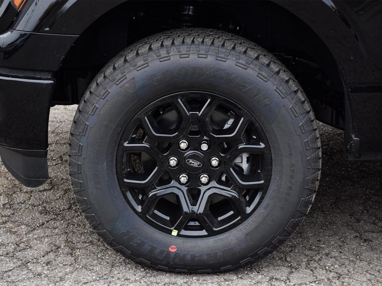 2025 Ford F-150  Photo