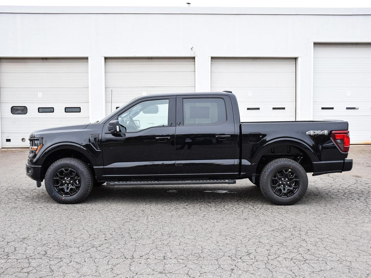 2025 Ford F-150  Photo3