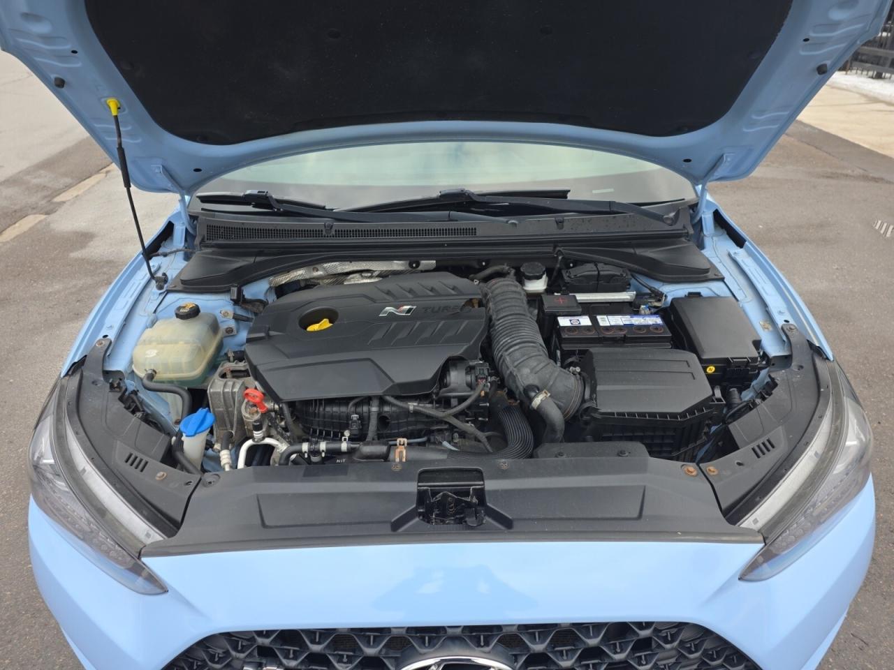 2019 Hyundai Veloster N Manual * NO ACCIDENTS / CARPLAY / CAMERA / SPOIL Photo