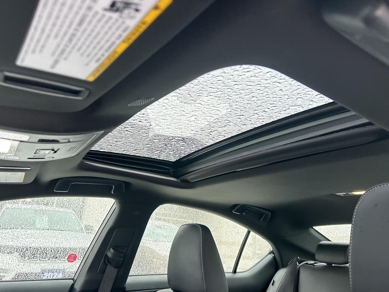 2024 Lexus IS IS 350 AWD F Sport w/NAV, Sunroof Photo