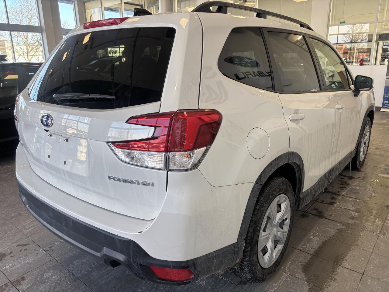 2024 Subaru Forester LOW KM   ONE OWNER   CLEAN CARFAX   APPLE CARPLAY! Photo