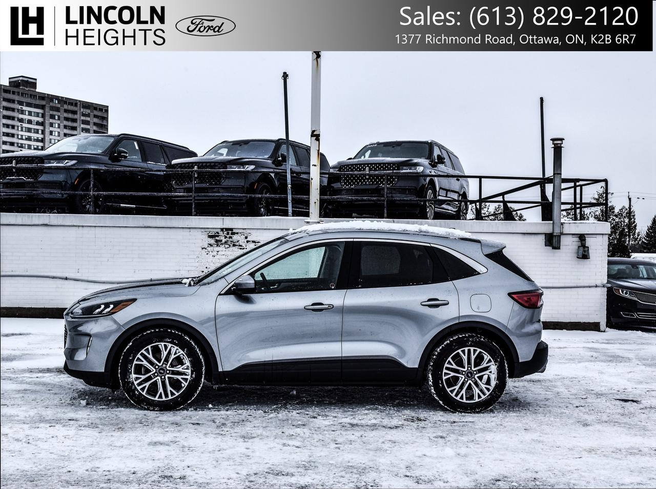 2022 Ford Escape SEL FWD Photo