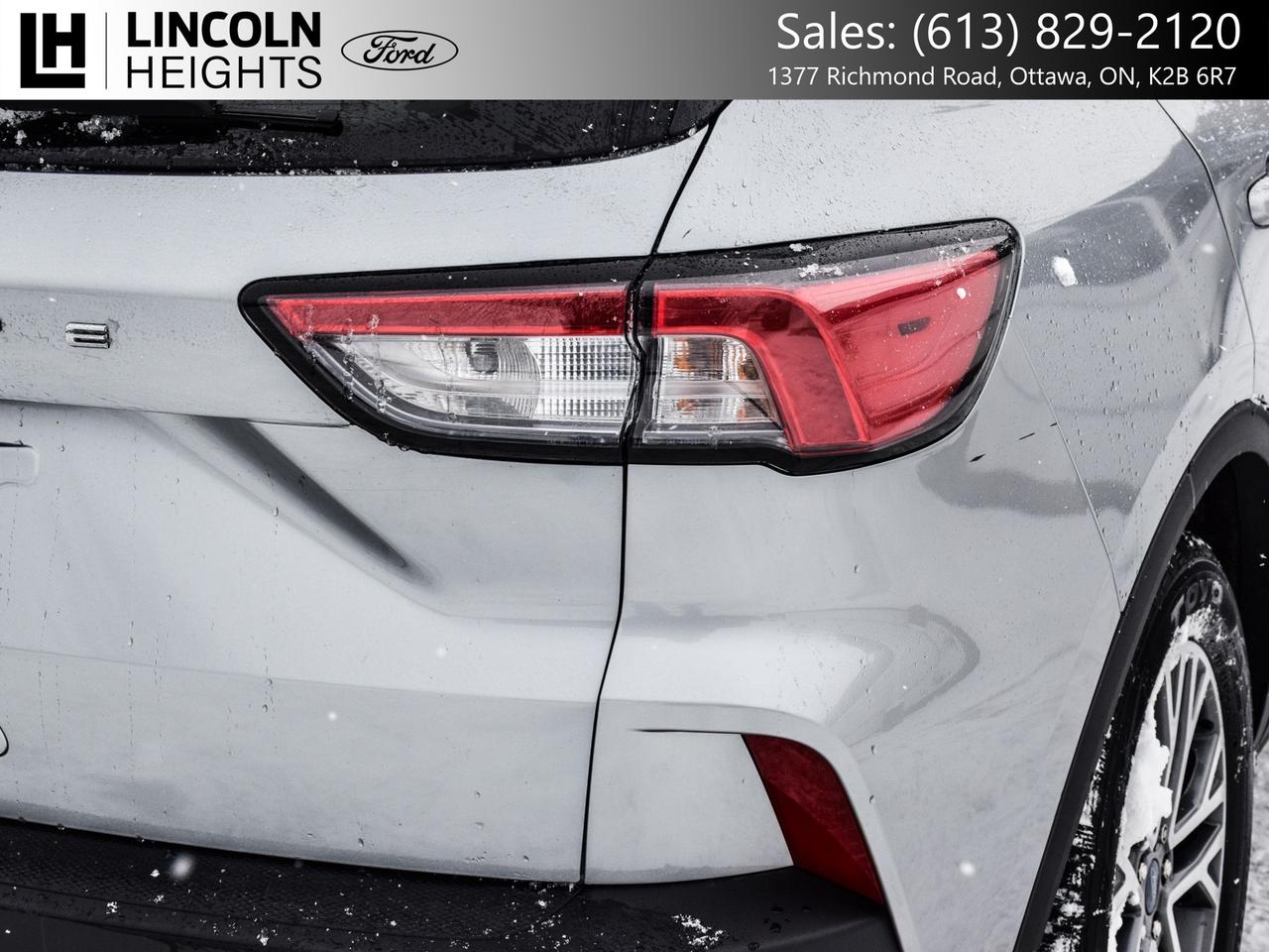 2022 Ford Escape SEL FWD Photo