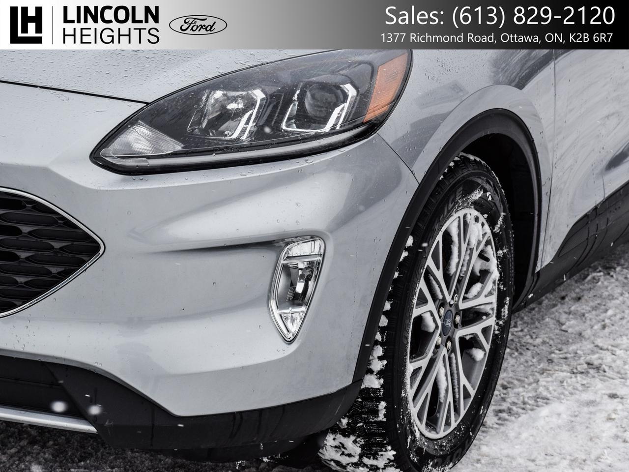 2022 Ford Escape SEL FWD Photo