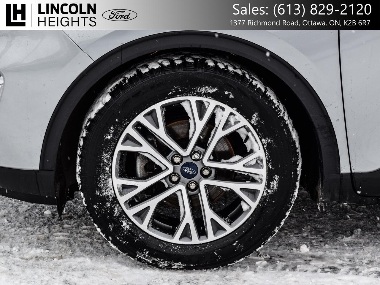 2022 Ford Escape SEL FWD Photo