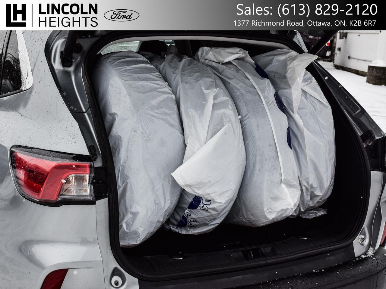 2022 Ford Escape SEL FWD Photo