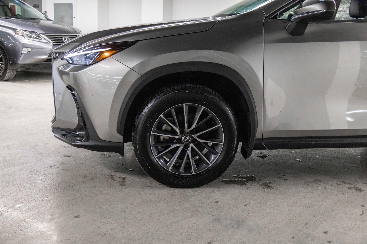2024 Lexus NX 350h Premium Pkg Safety Certified Photo