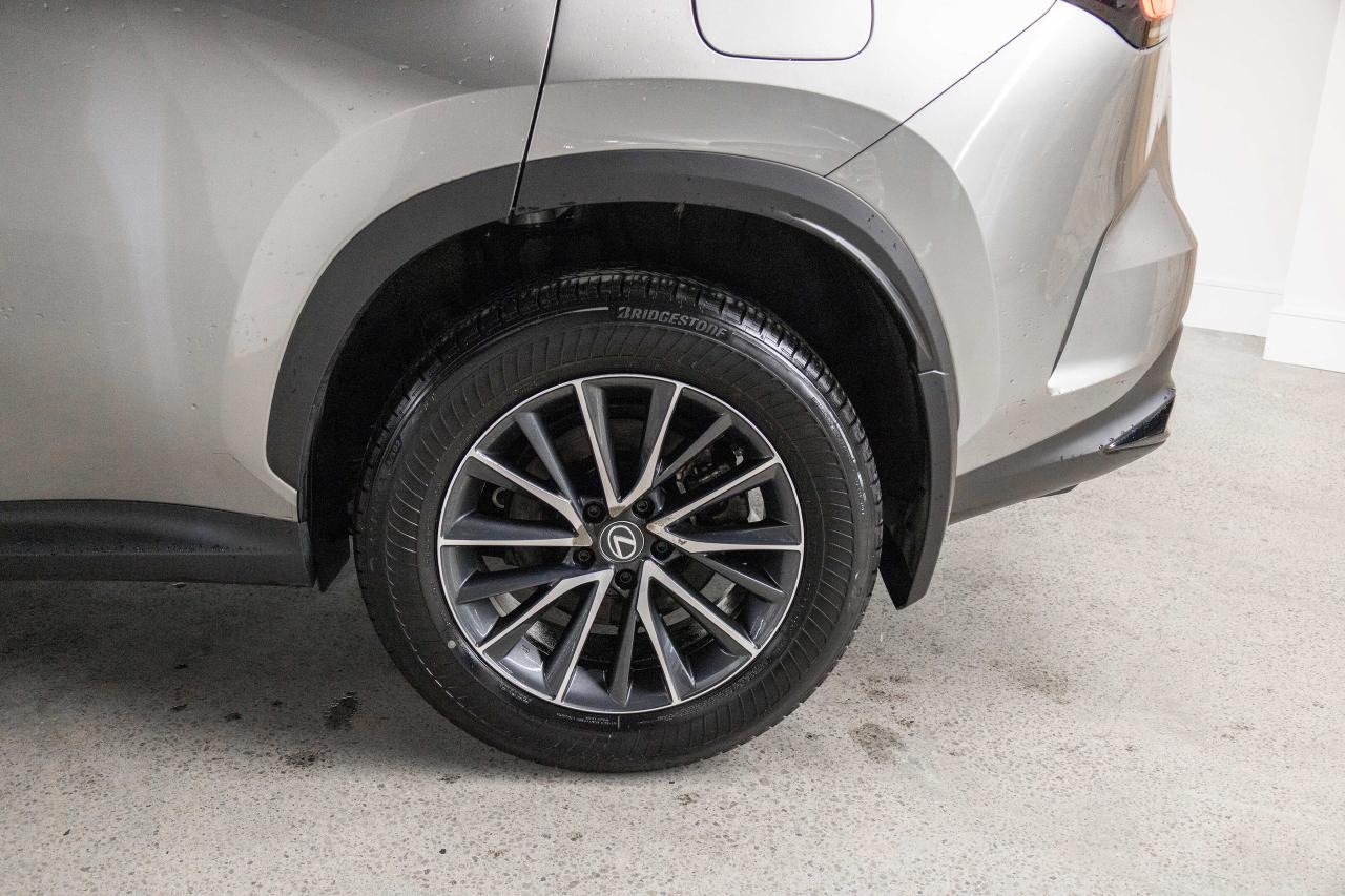 2024 Lexus NX 350h Premium Pkg Safety Certified Photo