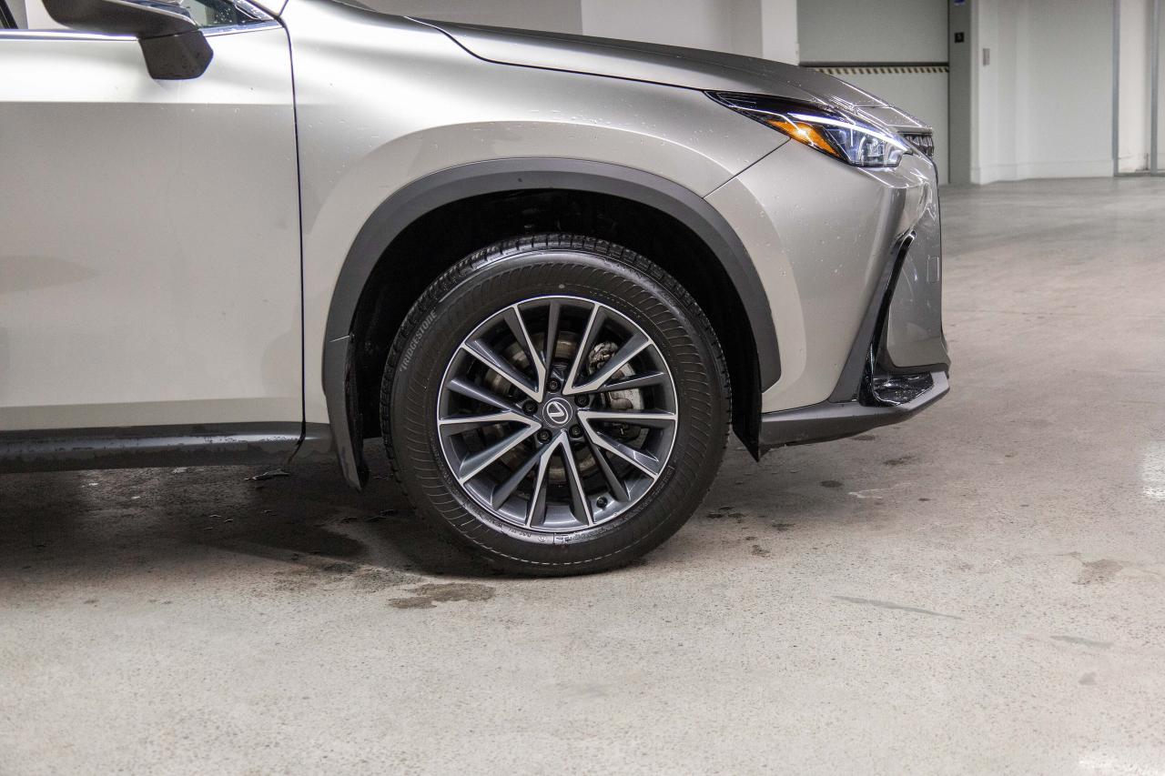 2024 Lexus NX 350h Premium Pkg Safety Certified Photo