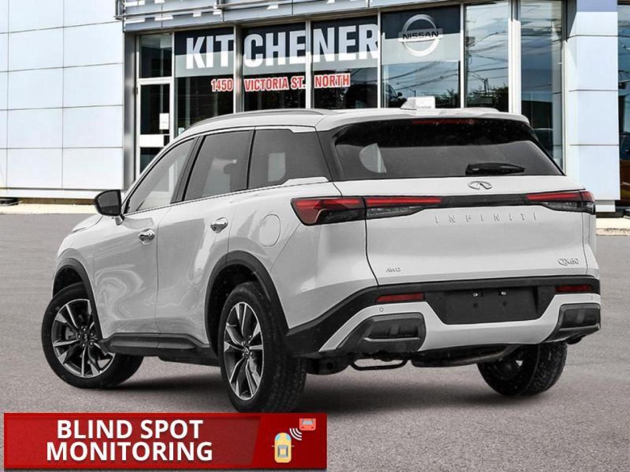 2025 Infiniti QX60 LUXE Photo3