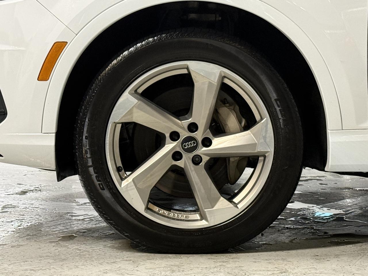 2019 Audi Q7 Progressiv l 55 TFSI l Quattro l AWD l S-Line Photo