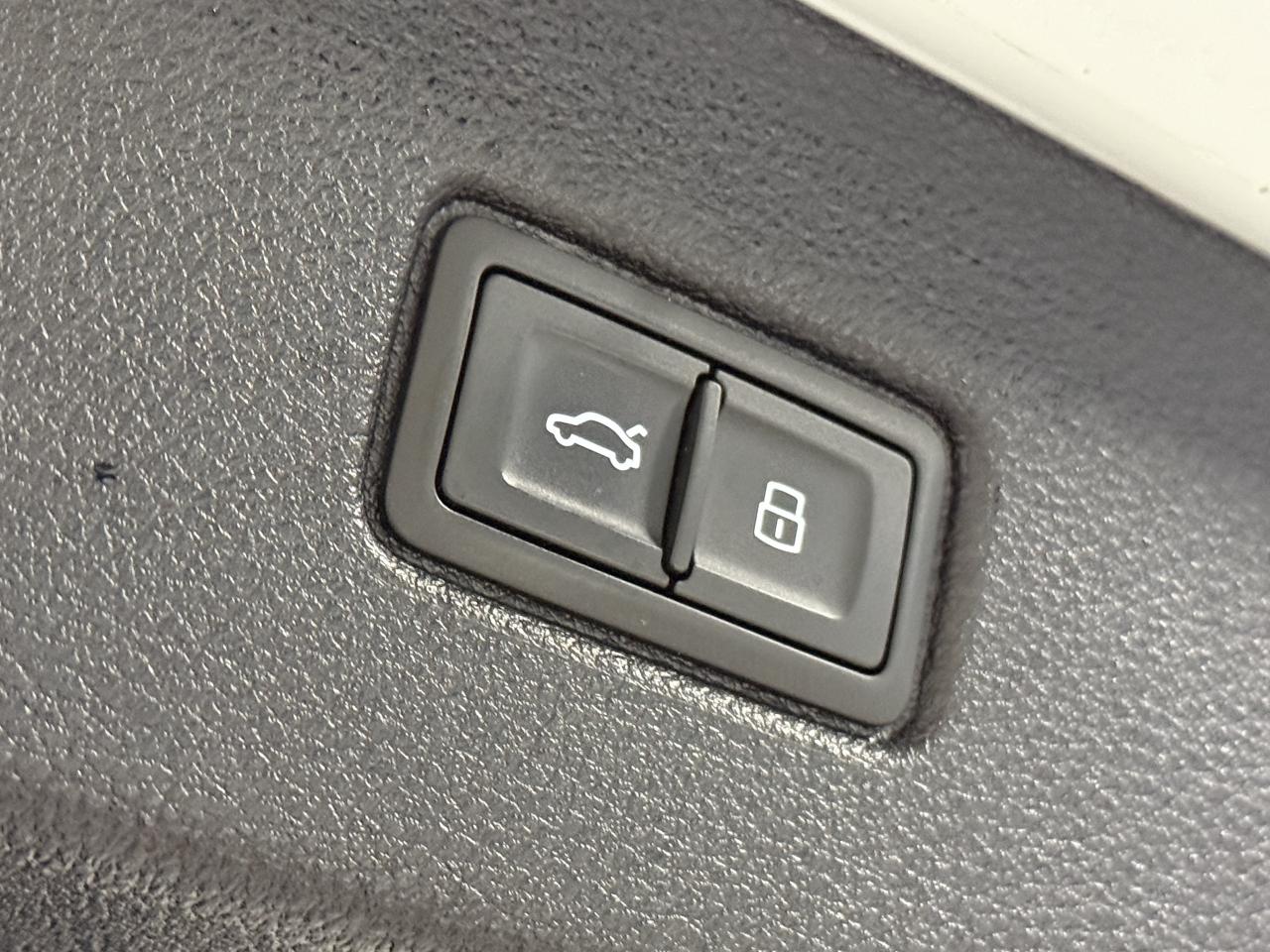 2019 Audi Q7 Progressiv l 55 TFSI l Quattro l AWD l S-Line Photo