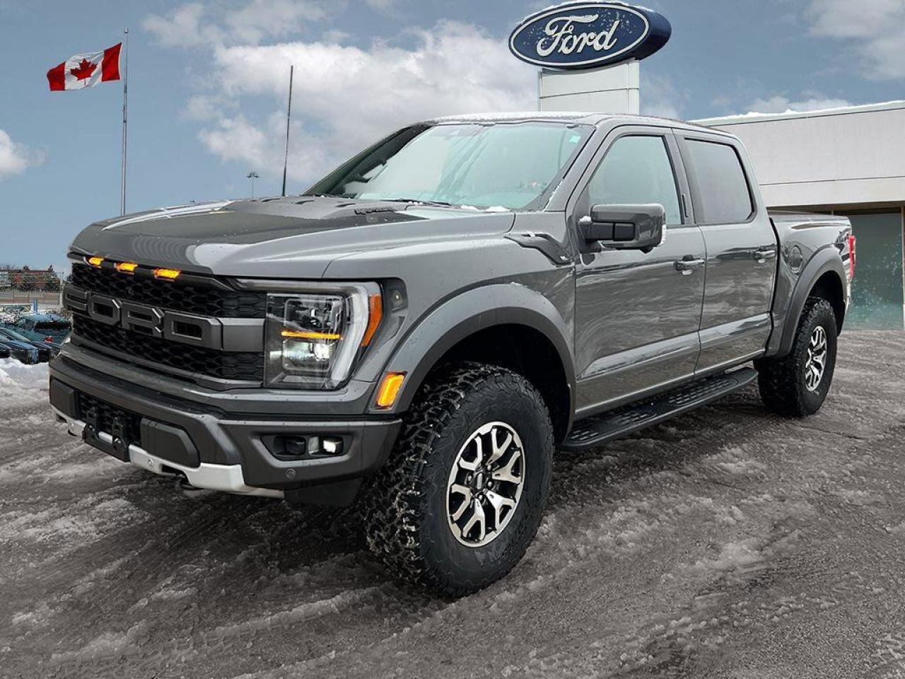 2021 Ford F-150 Raptor   MOONROOF   LTHR   BEDLINER MOONROOF   LTH Photo