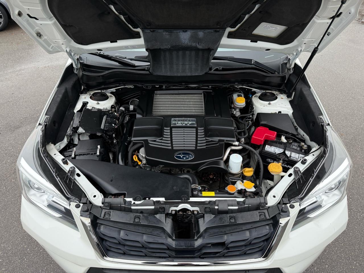 2017 Subaru Forester 2.0XT Limited w/Tech Pkg  ACCIDENT FREE 1-OWNER CE Photo