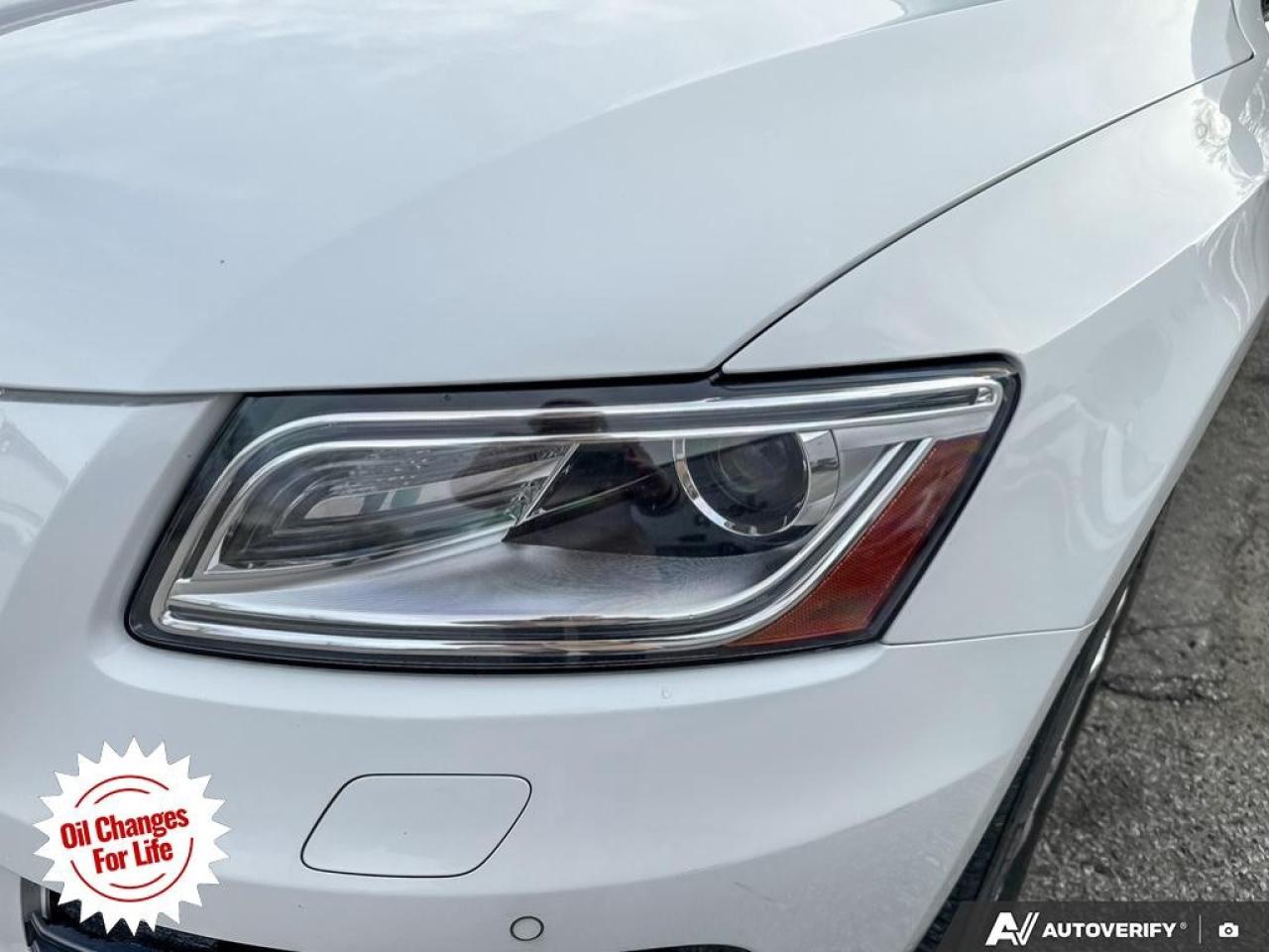 2017 Audi Q5 quattro 4dr 2.0T Progressiv Photo