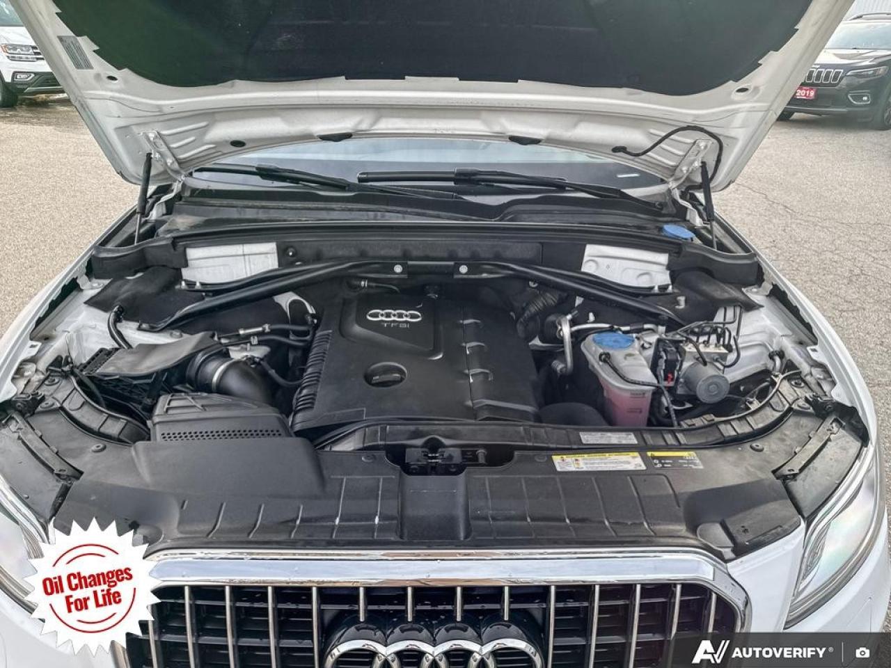 2017 Audi Q5 quattro 4dr 2.0T Progressiv Photo