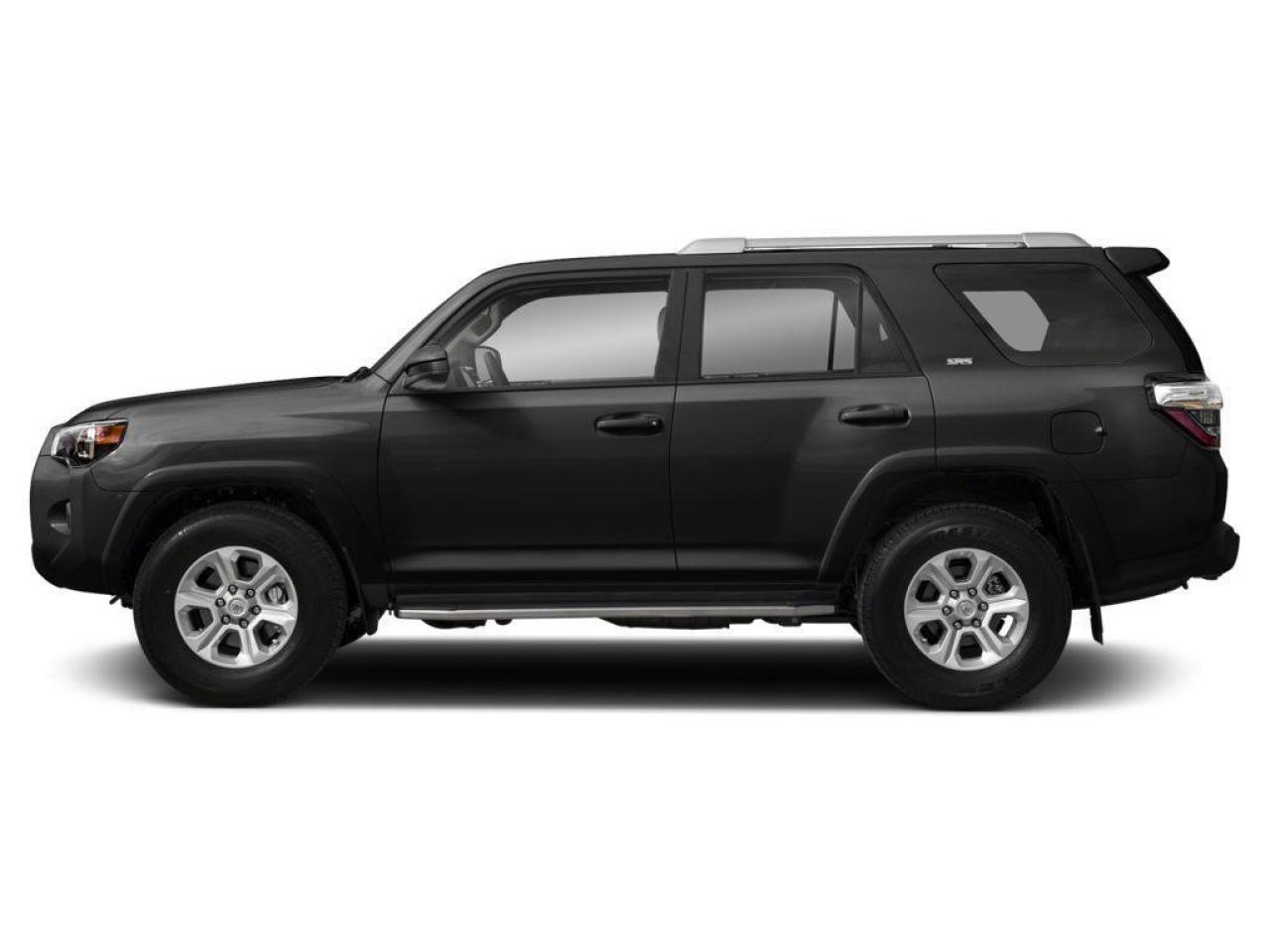 2019 Toyota 4Runner SR5 Photo