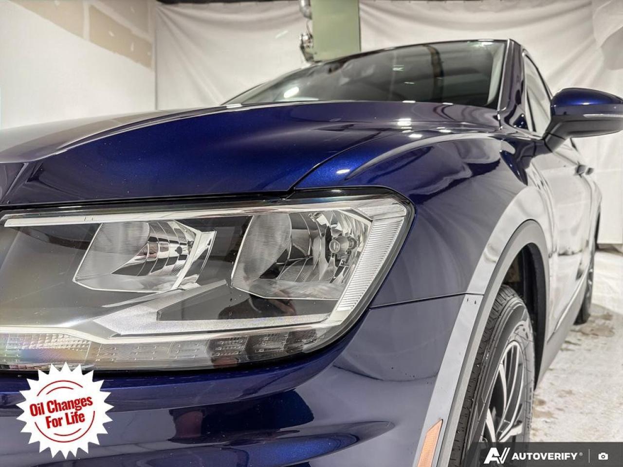 2021 Volkswagen Tiguan  Photo