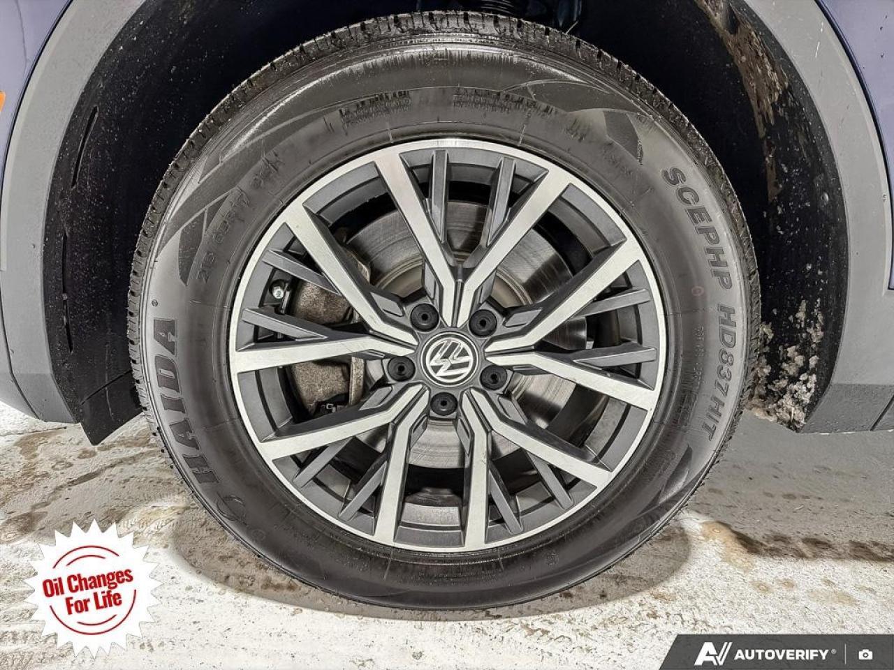 2021 Volkswagen Tiguan  Photo