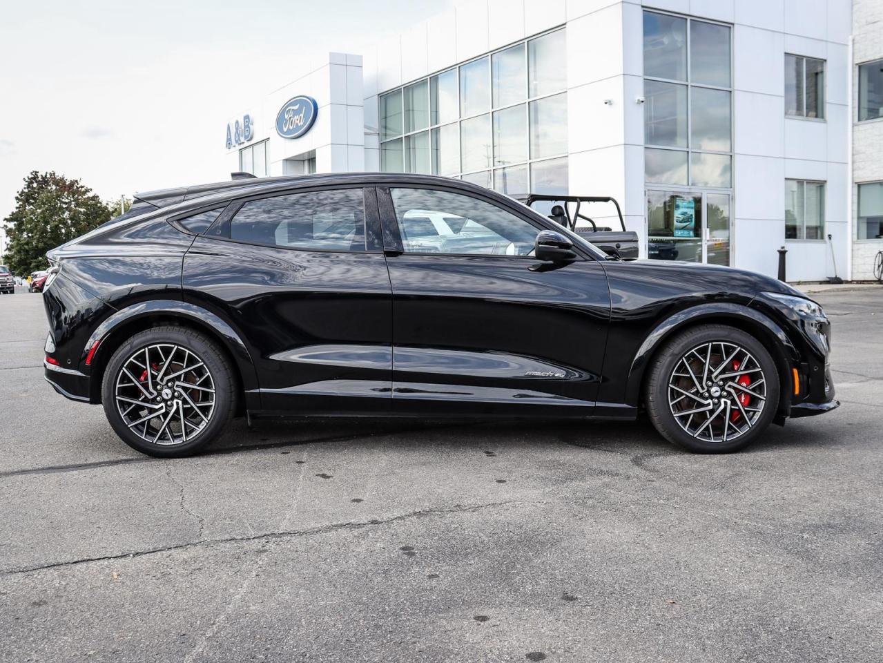 2021 Ford Mustang Mach-E GT Performance Edition 4dr All-Wheel Drive Photo