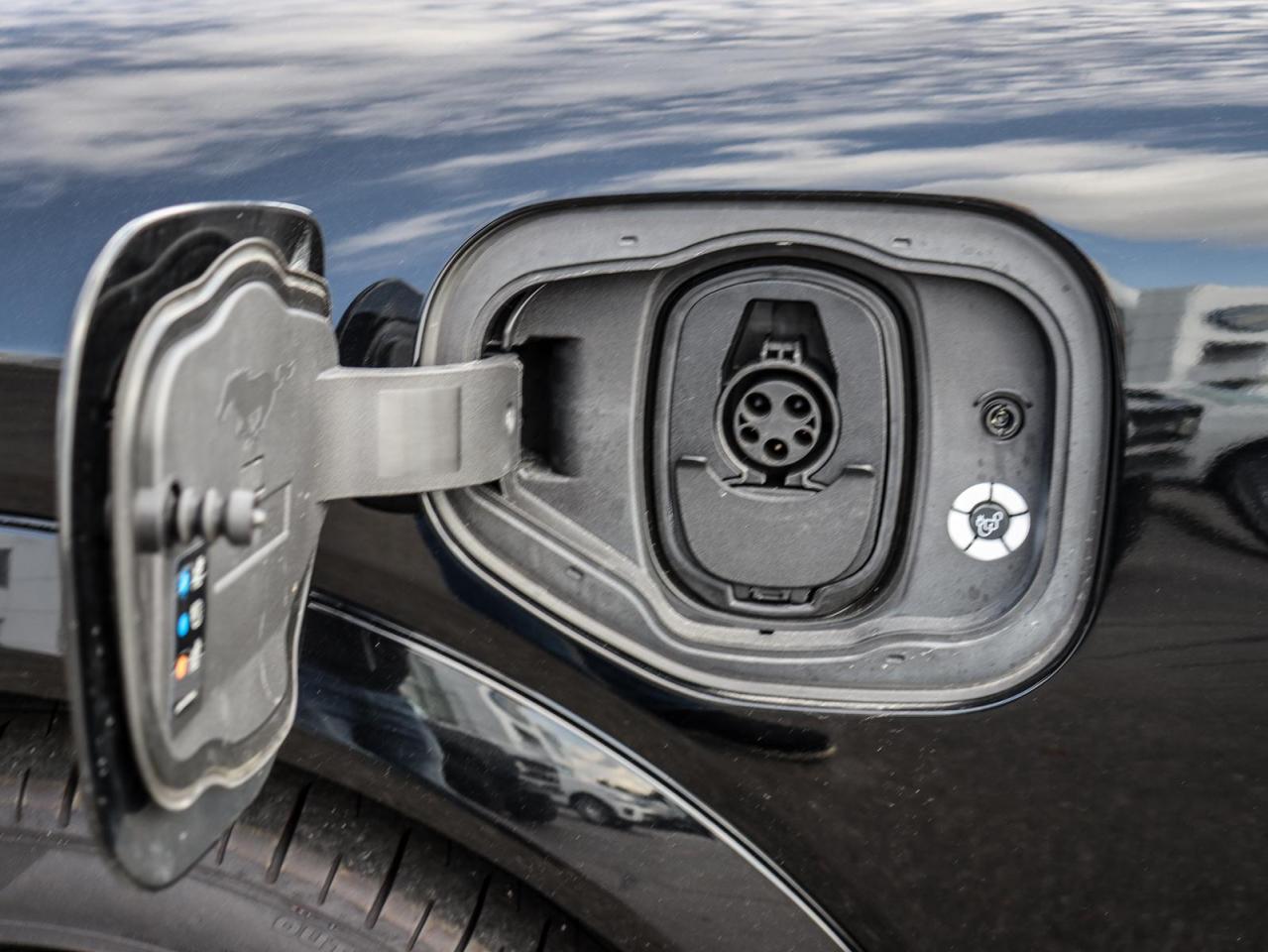 2021 Ford Mustang Mach-E GT Performance Edition 4dr All-Wheel Drive Photo