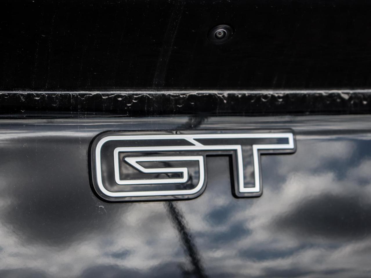 2021 Ford Mustang Mach-E GT Performance Edition 4dr All-Wheel Drive Photo