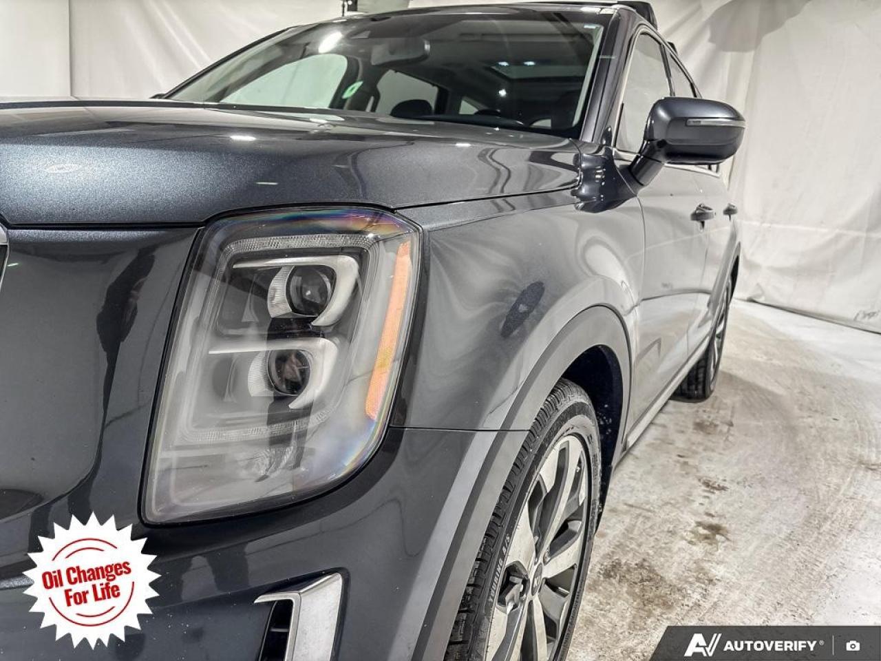 2020 Kia Telluride  Photo